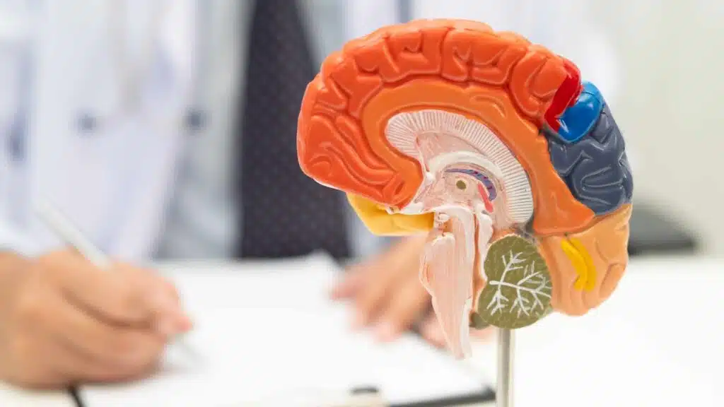 Traumatic Brain Injury (TBI) and LIS